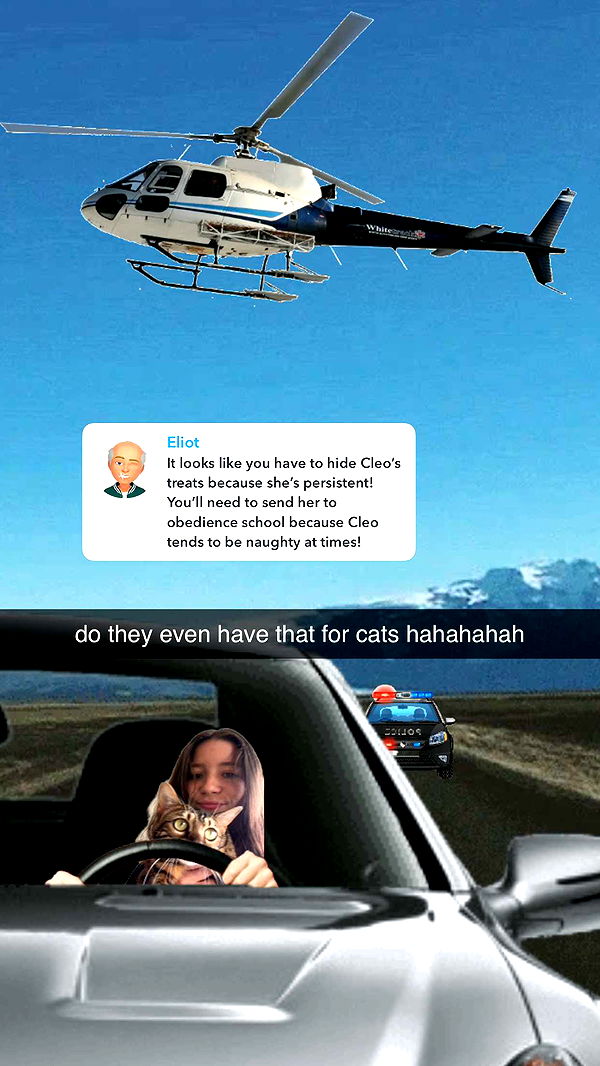 ameliabfit image ~ Altpins