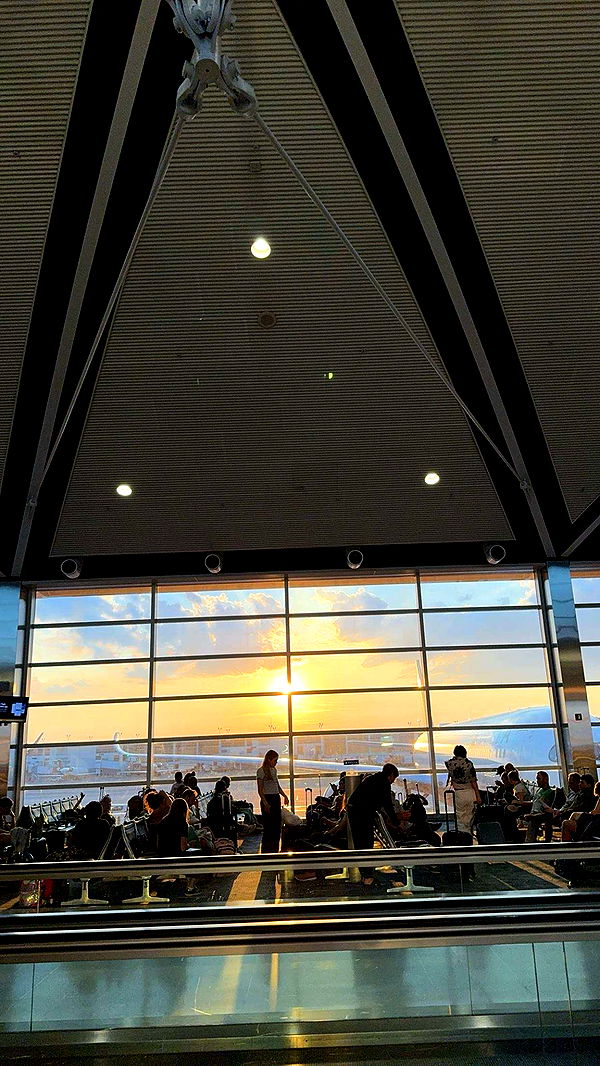 ameliabfit image ~ Altpins