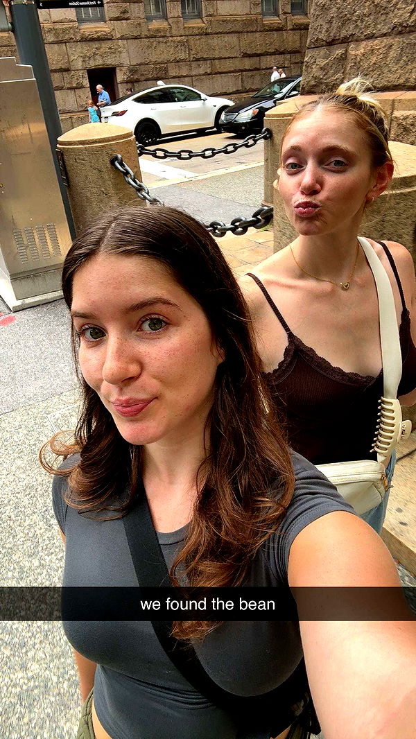 ameliabfit image ~ Altpins