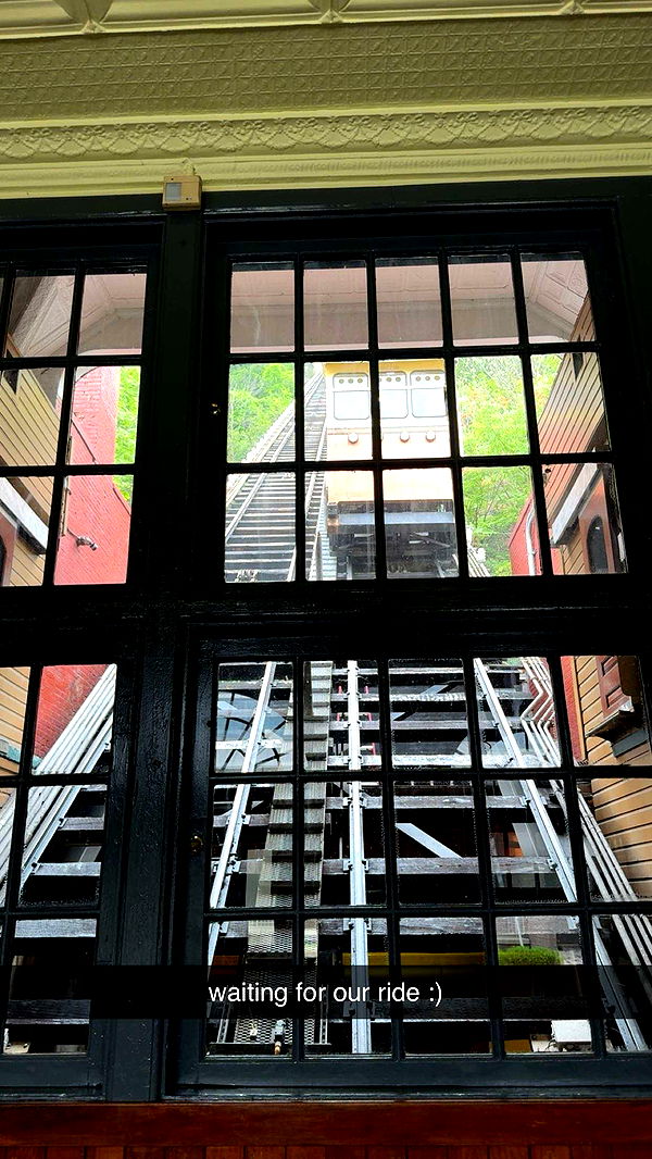 ameliabfit image ~ Altpins