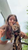 ameliabfit Altpins Profile Picture