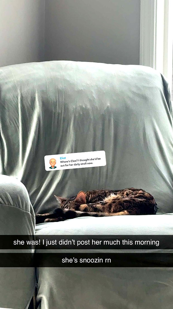 ameliabfit snapchat image archive image