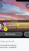 ameliabfit Altpins Profile Picture