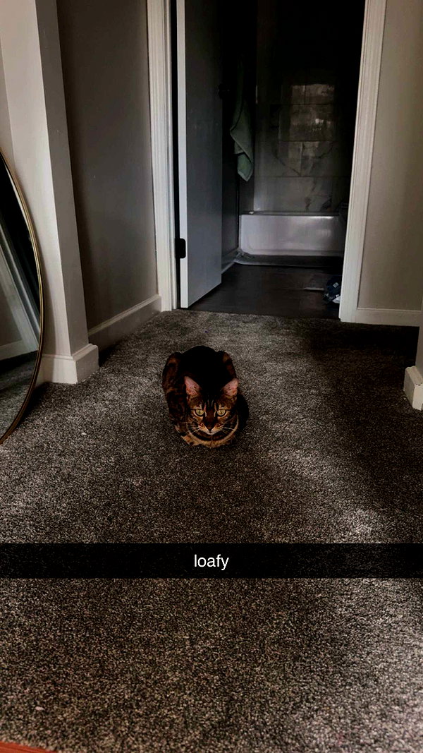 ameliabfit snapchat image archive image