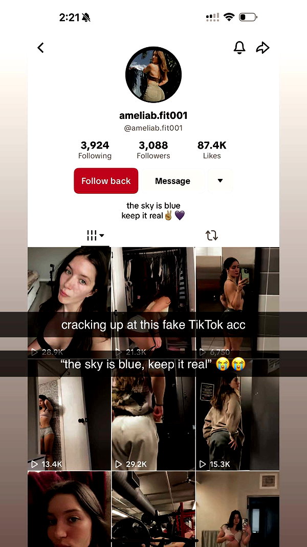 ameliabfit snapchat image archive image