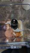 ameliabfit Altpins Profile Picture
