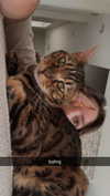 ameliabfit Altpins Profile Picture
