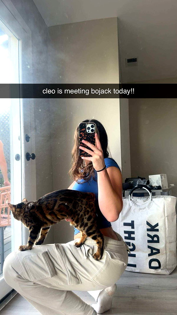ameliabfit snapchat image archive image