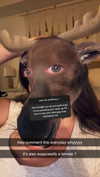 ameliabfit Altpins Profile Picture