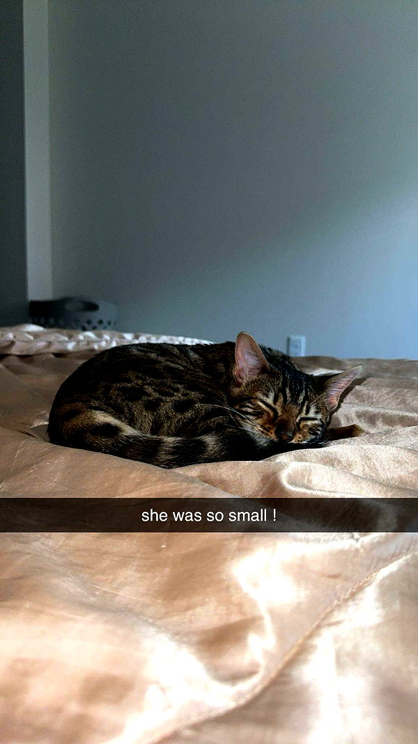 ameliabfit snapchat image archive image