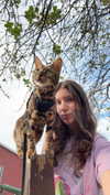 ameliabfit Altpins Profile Picture