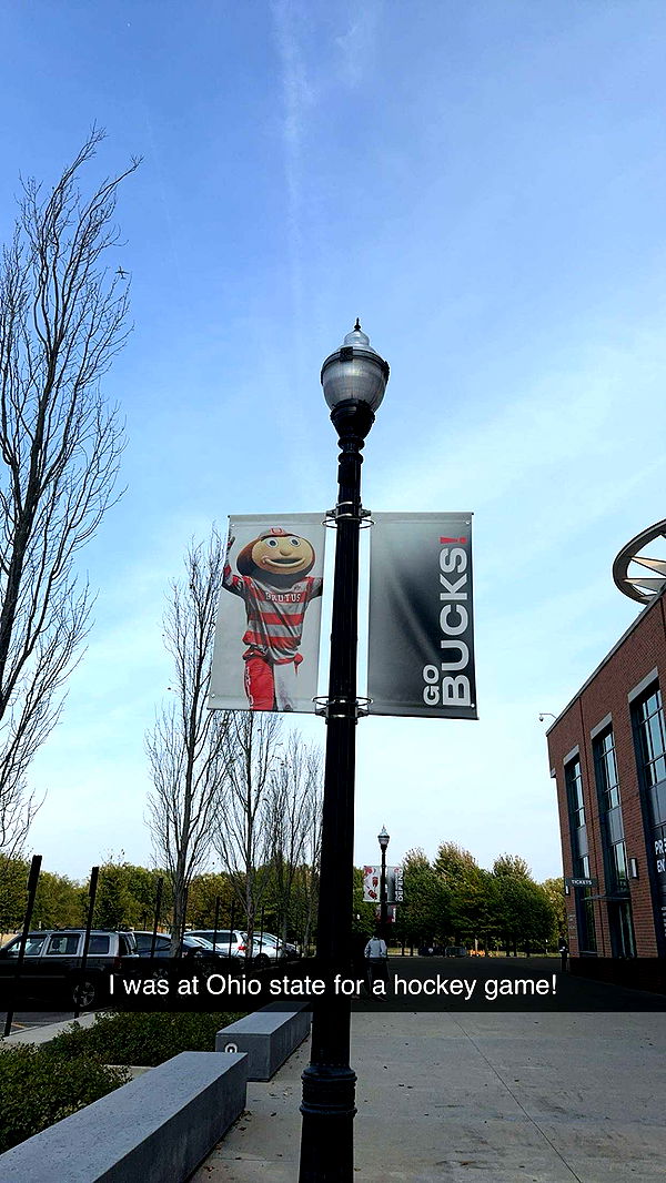 ameliabfit image ~ Altpins