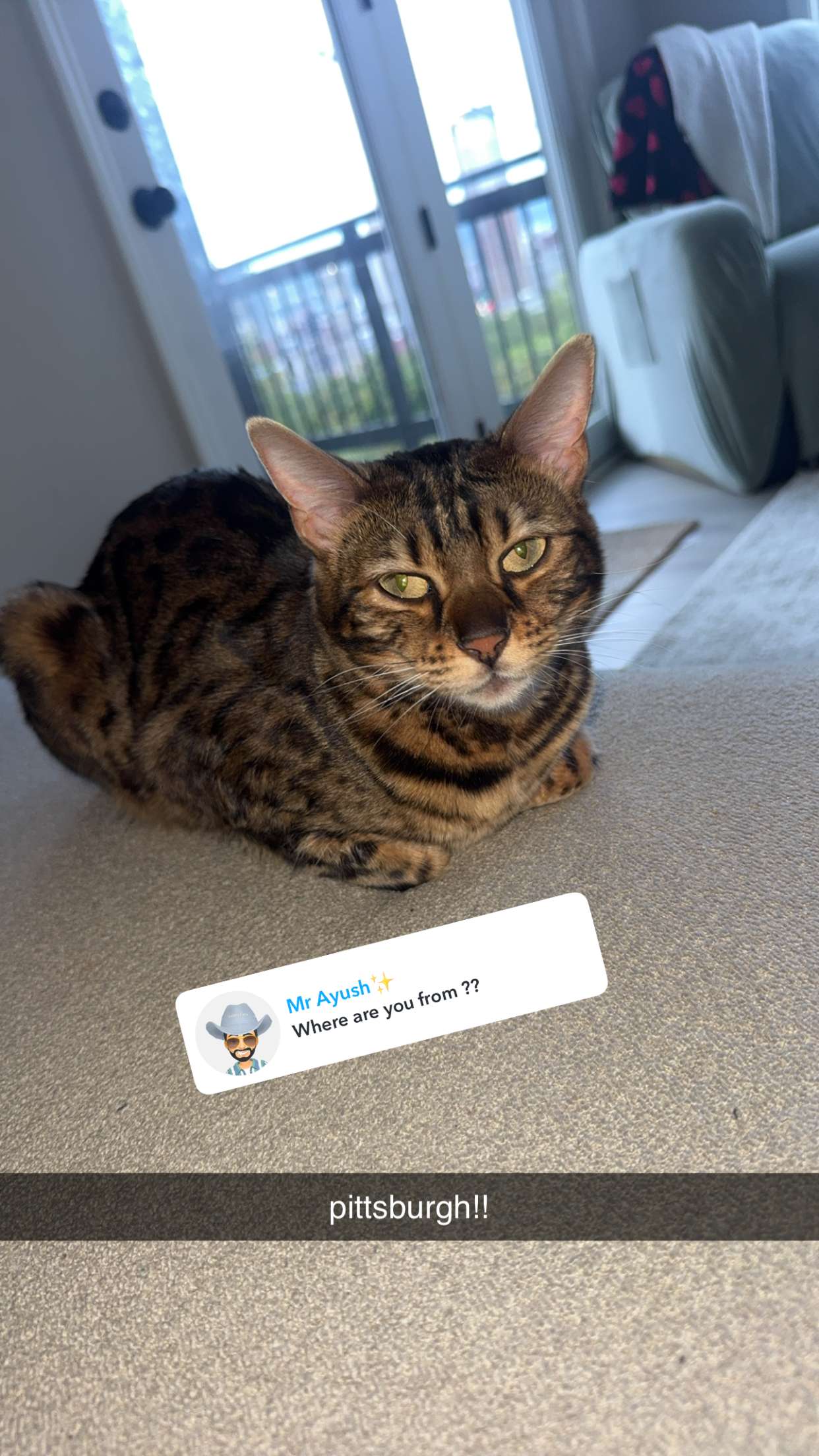 ameliabfit snapchat image archive image