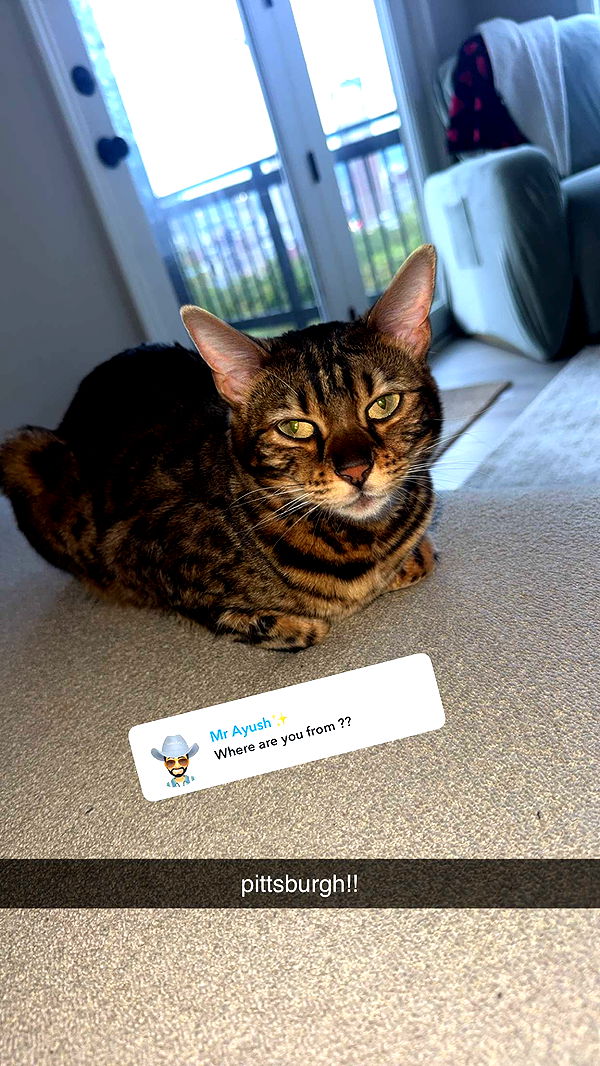 ameliabfit image ~ Altpins