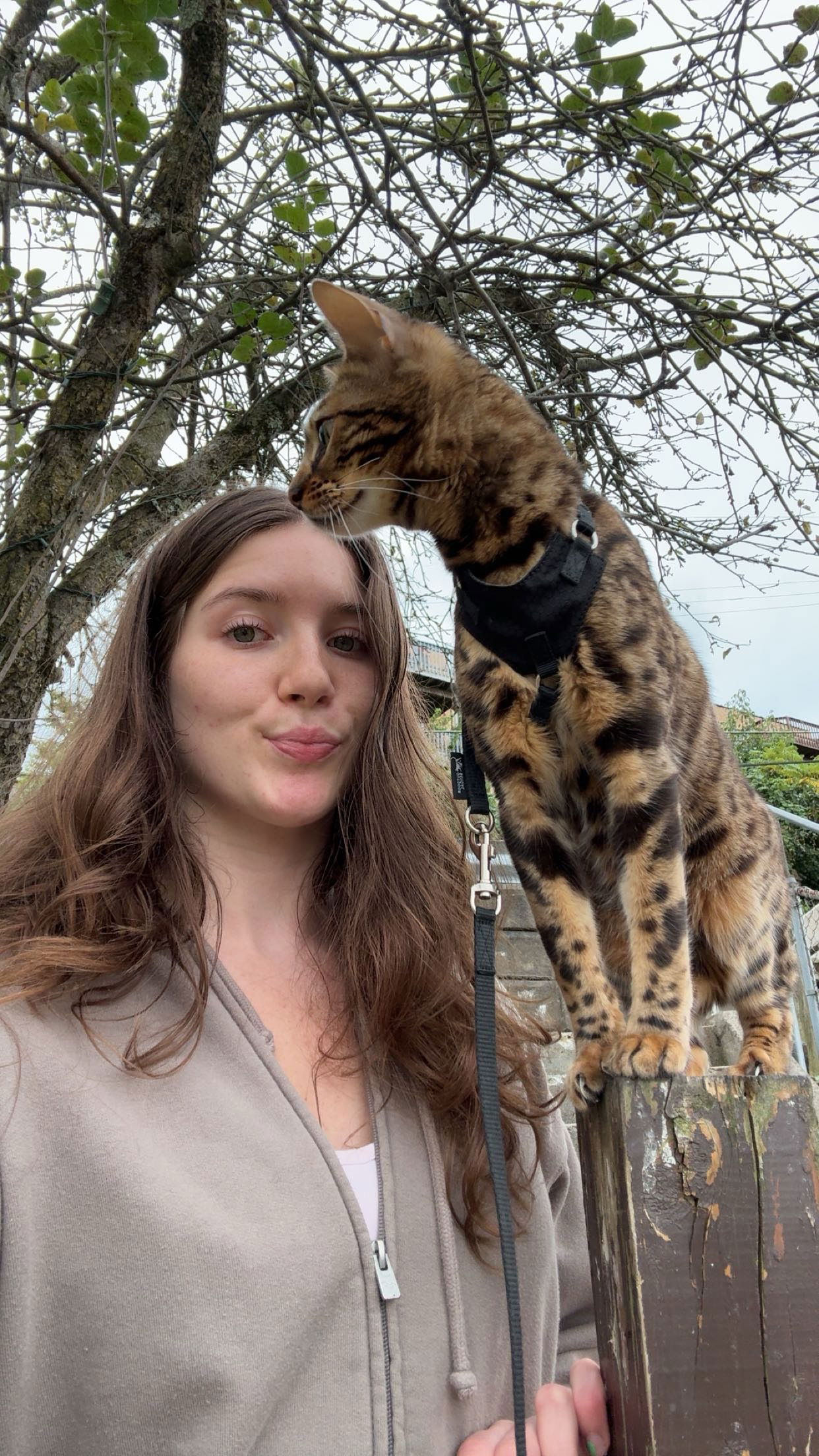 ameliabfit snapchat image archive image