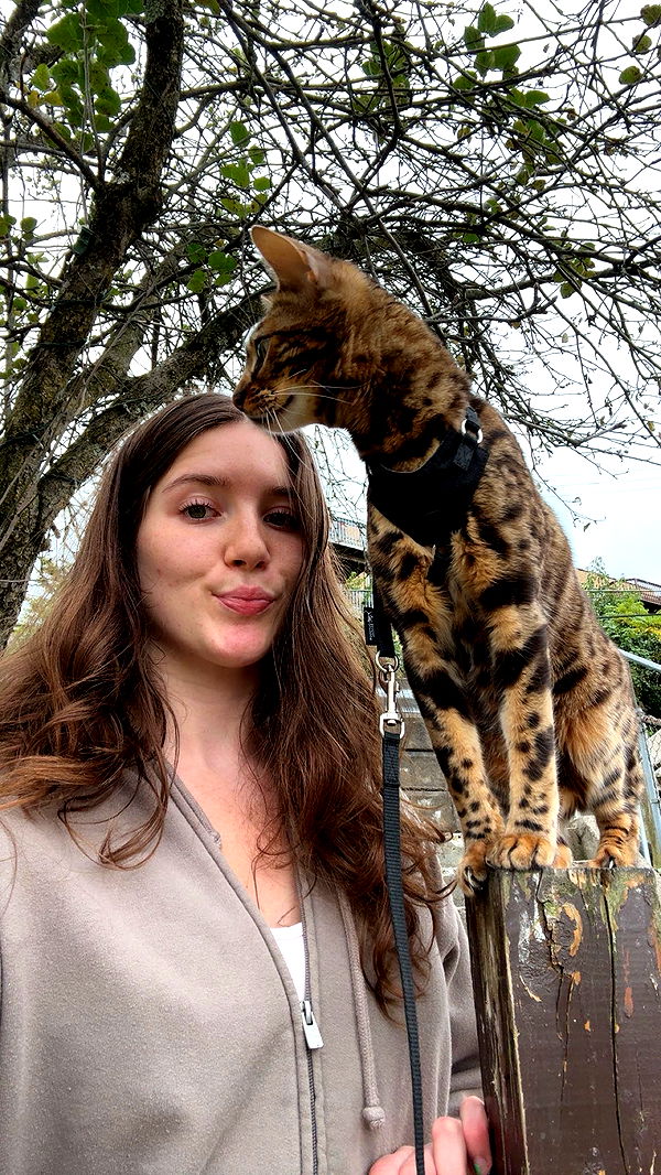 ameliabfit image ~ Altpins