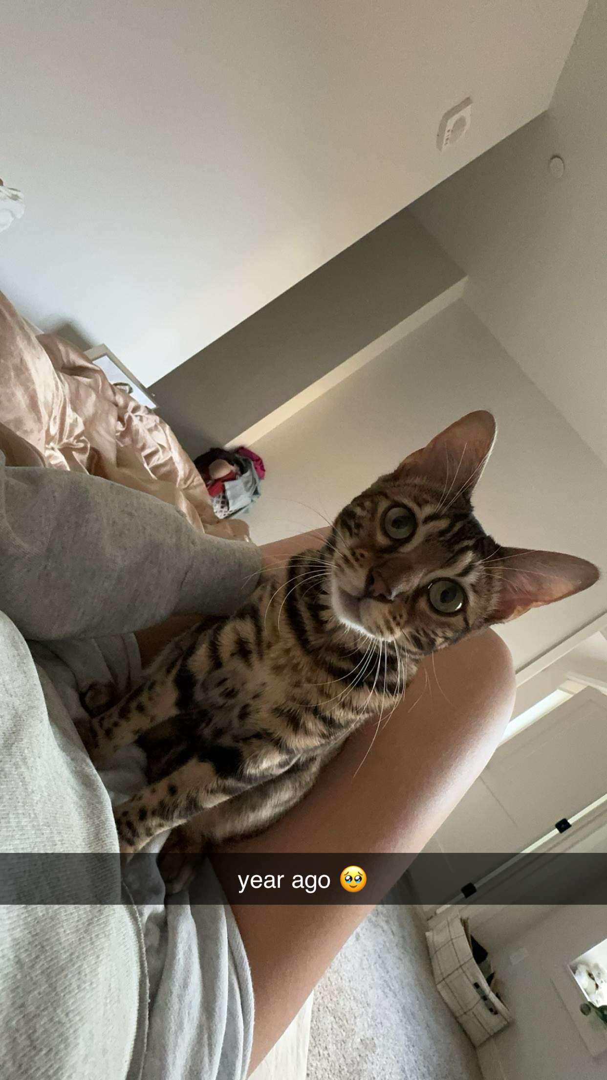 ameliabfit snapchat image archive image