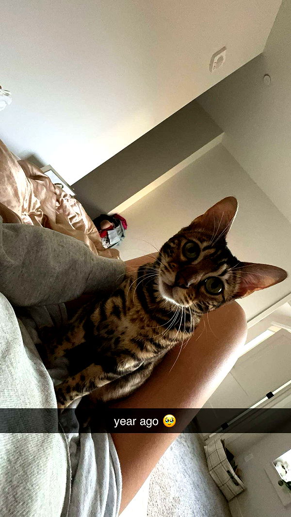 ameliabfit image ~ Altpins