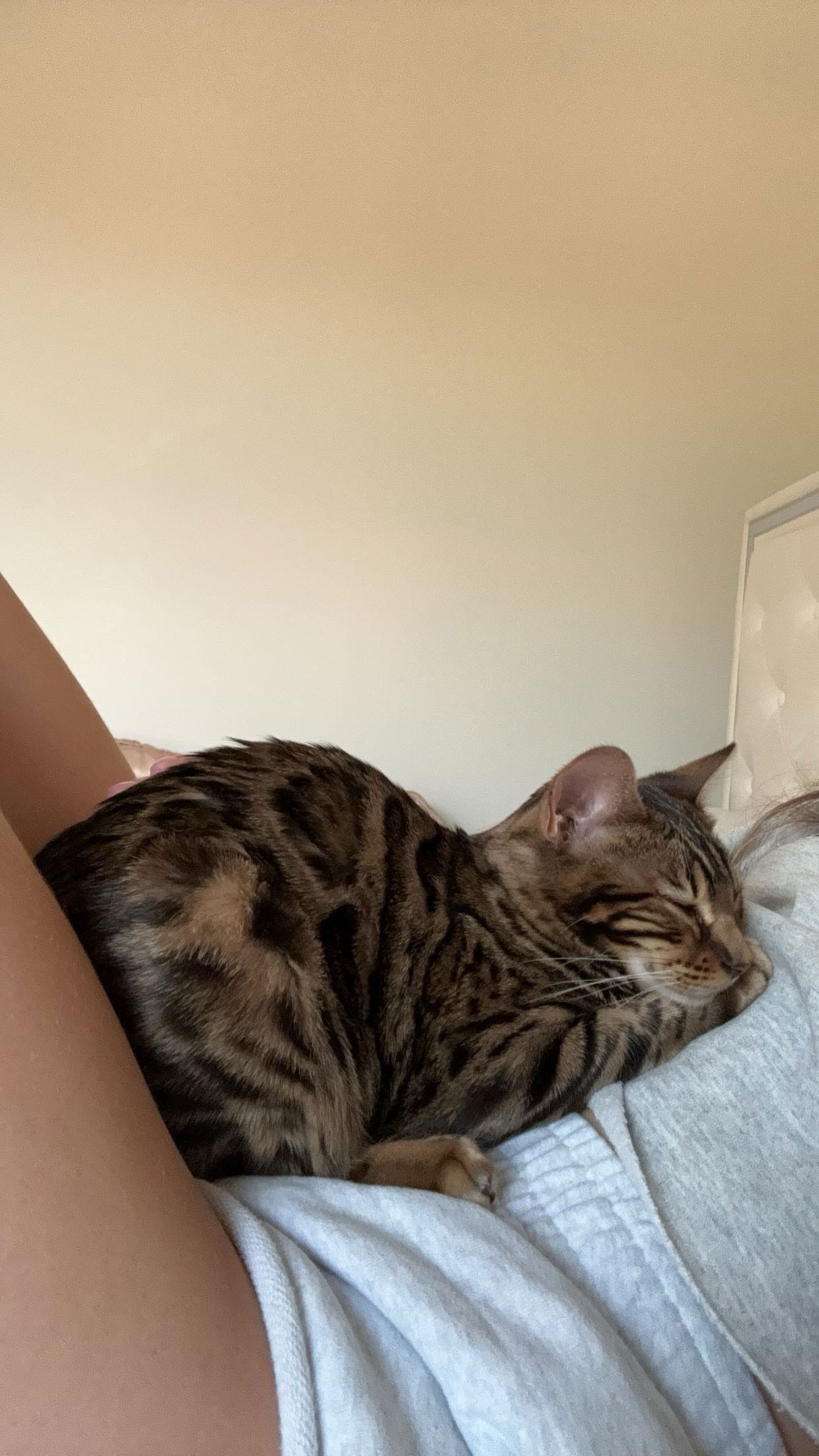 ameliabfit snapchat image archive image