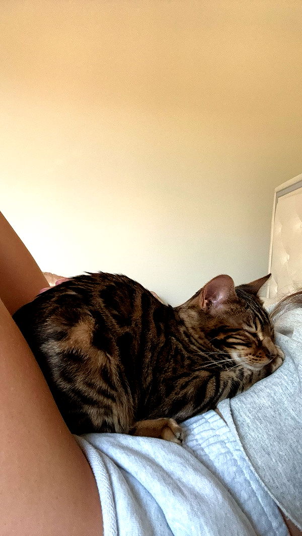 ameliabfit image ~ Altpins