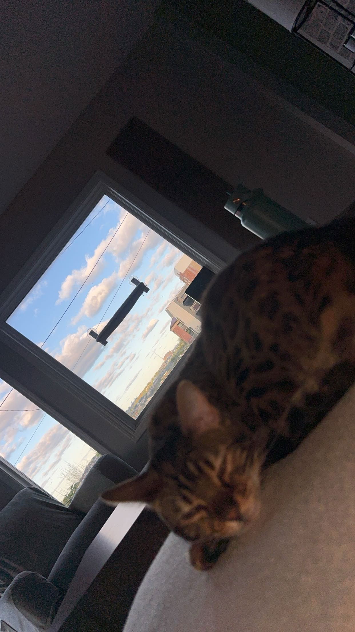 ameliabfit snapchat image archive image