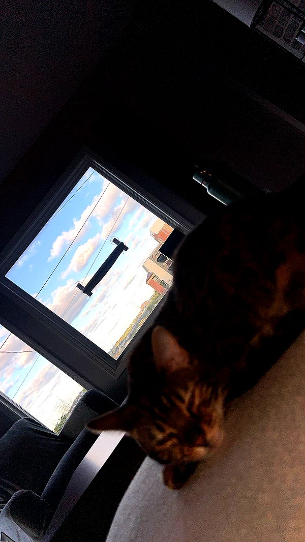 ameliabfit image ~ Altpins