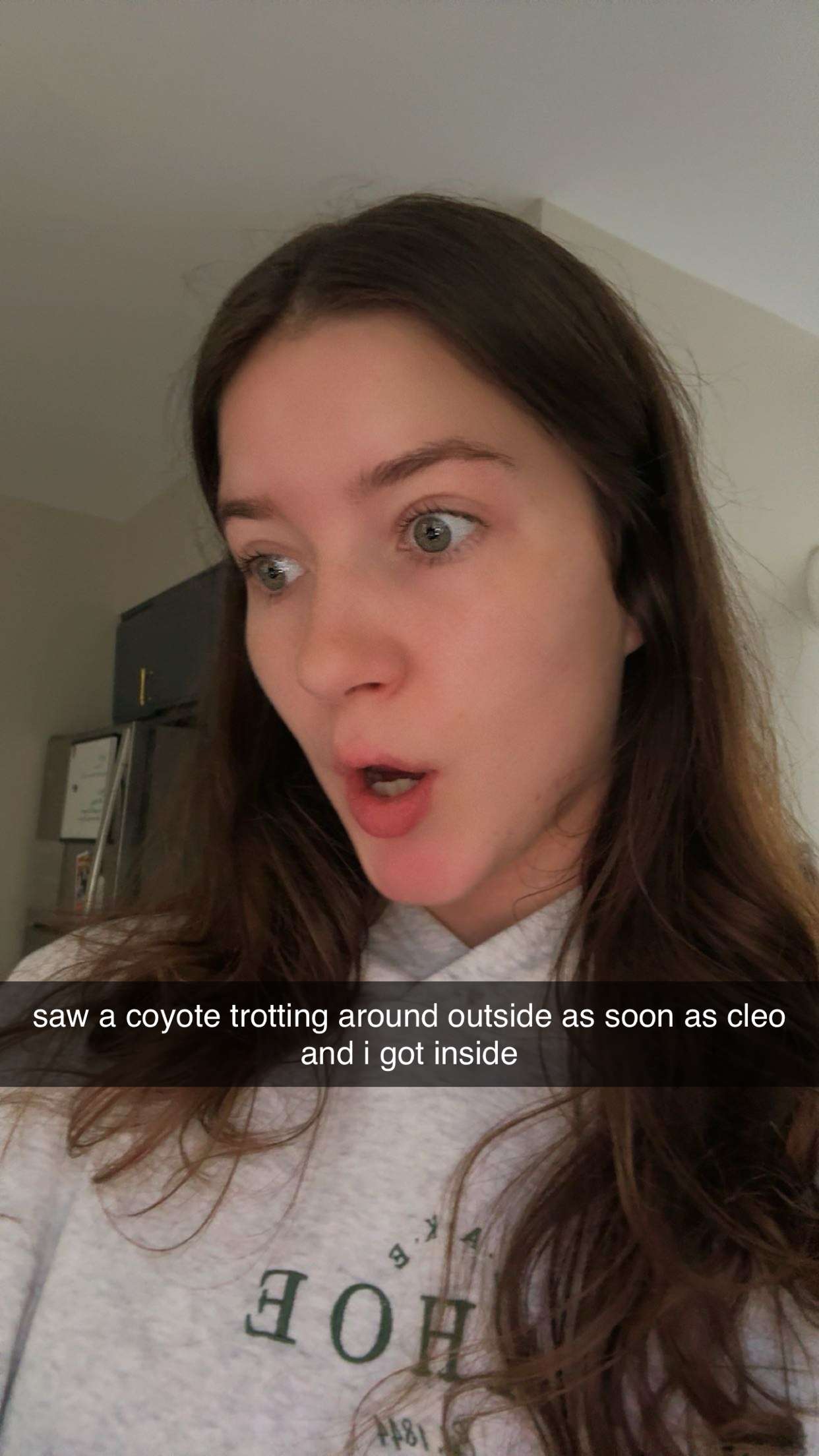 ameliabfit snapchat image archive image