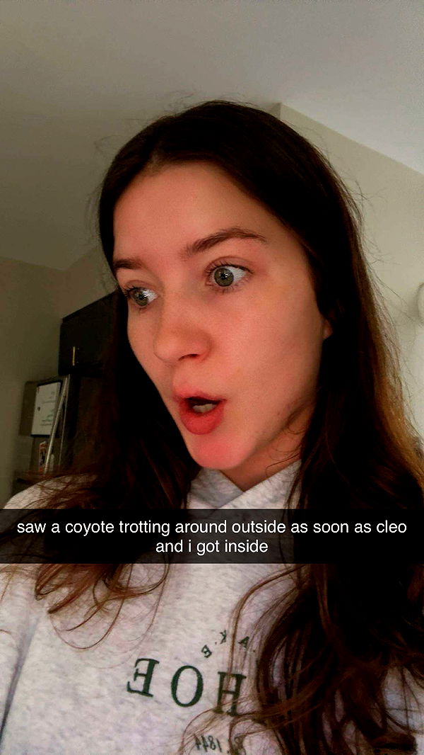 ameliabfit image ~ Altpins