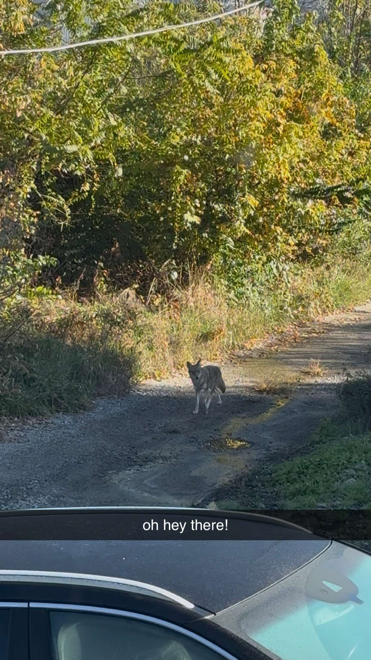 ameliabfit snapchat image archive image