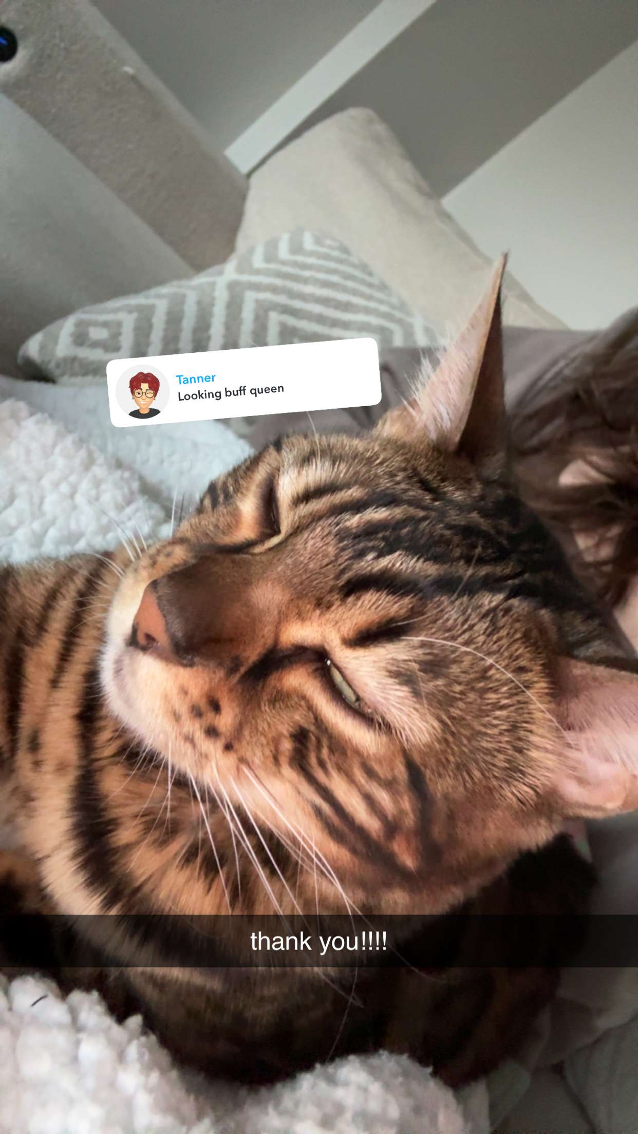 ameliabfit snapchat image archive image