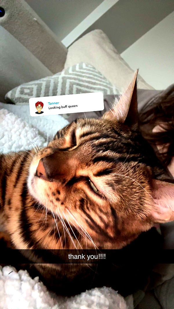 ameliabfit image ~ Altpins