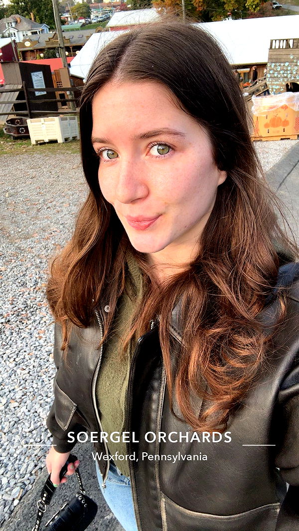 ameliabfit image ~ Altpins