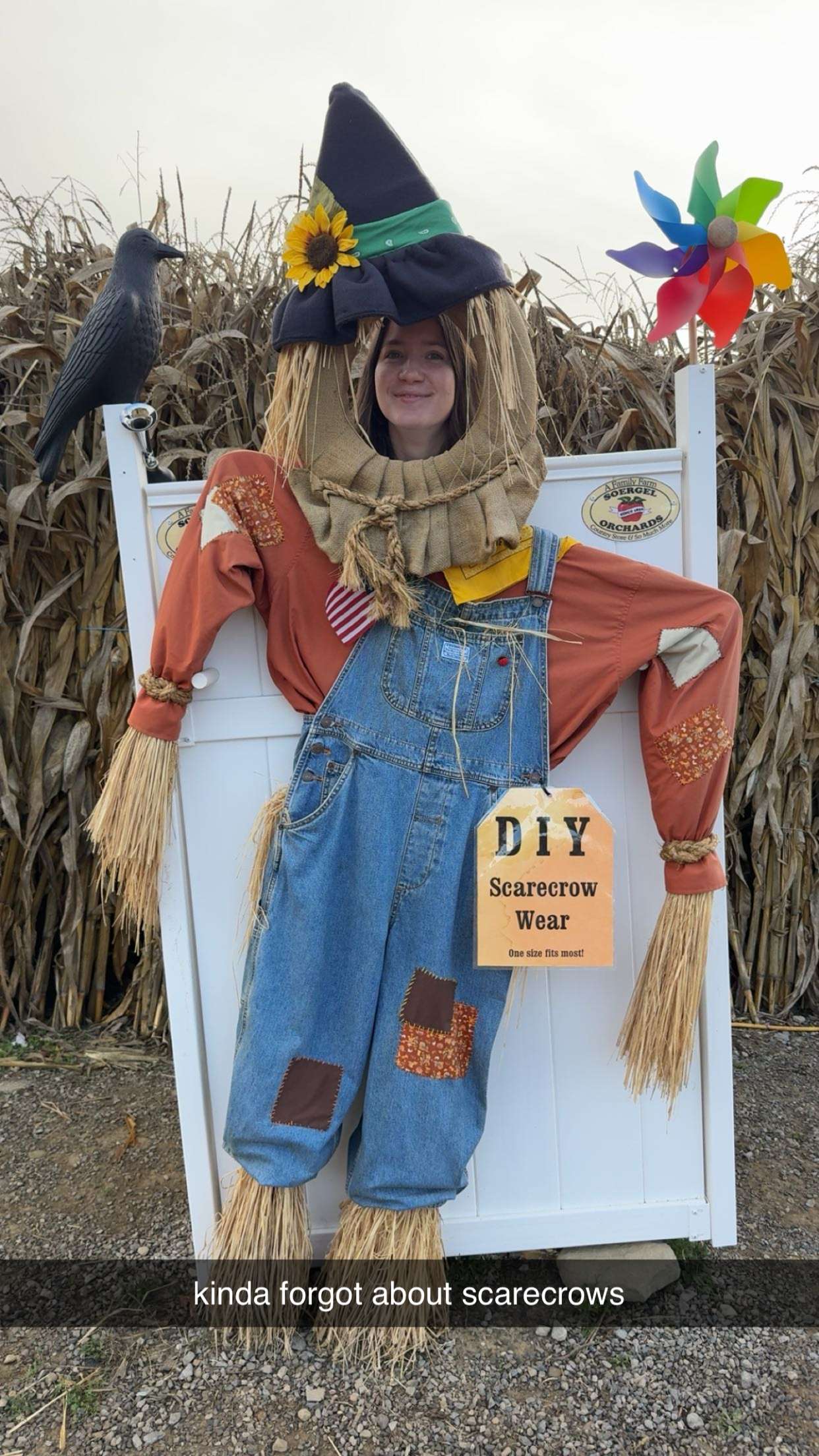 ameliabfit snapchat image archive image