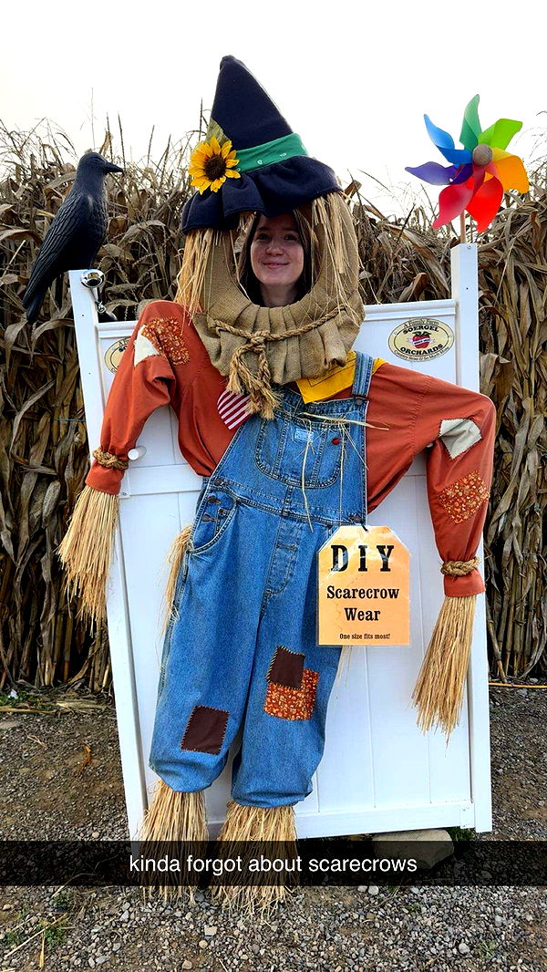 ameliabfit image ~ Altpins