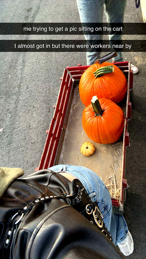 ameliabfit image ~ Altpins