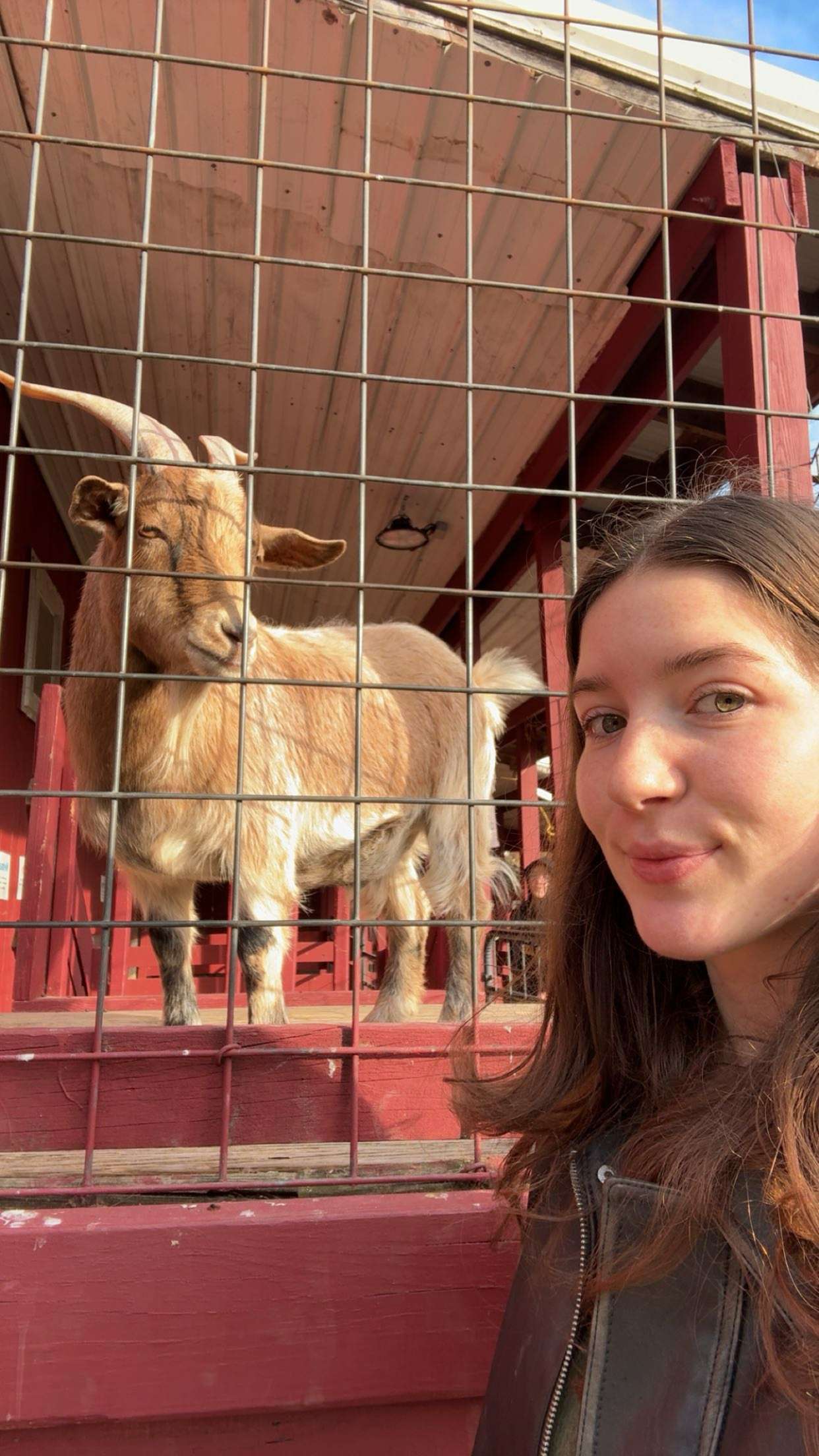 ameliabfit snapchat image archive image