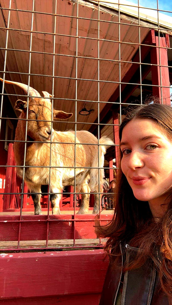 ameliabfit image ~ Altpins