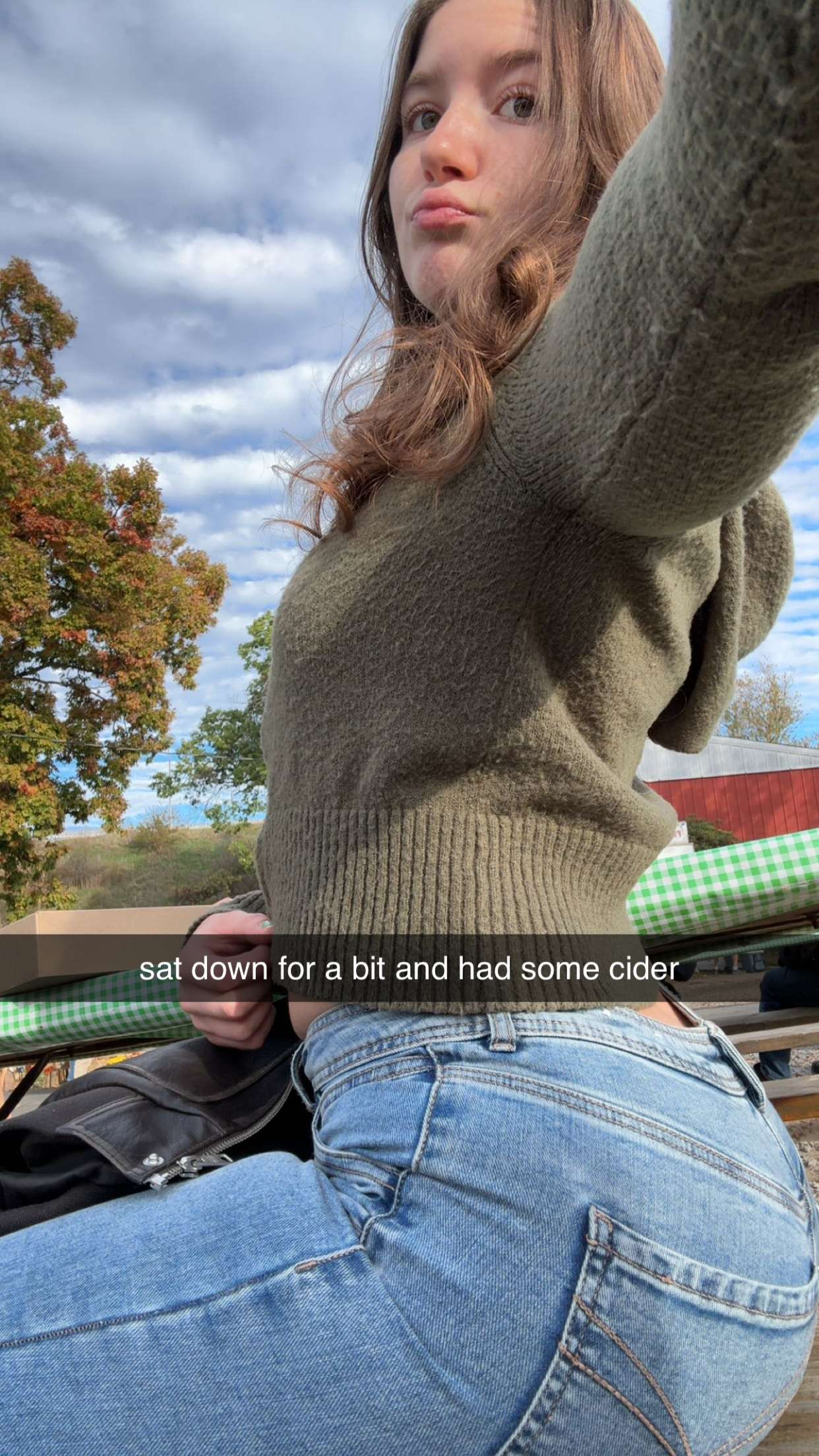 ameliabfit snapchat image archive image