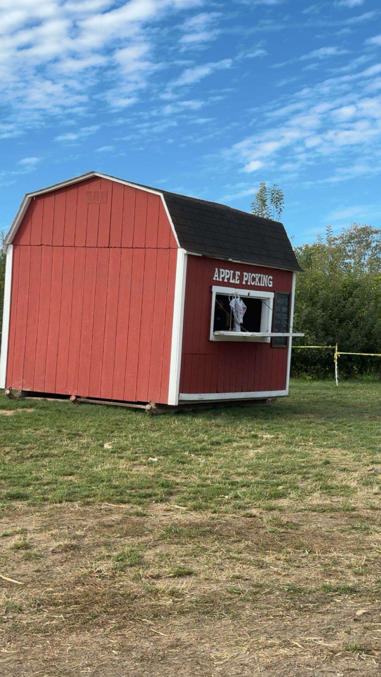 ameliabfit snapchat image archive image