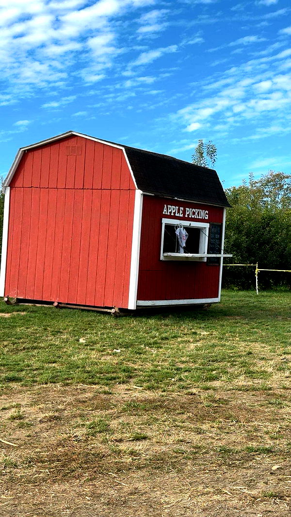 ameliabfit image ~ Altpins