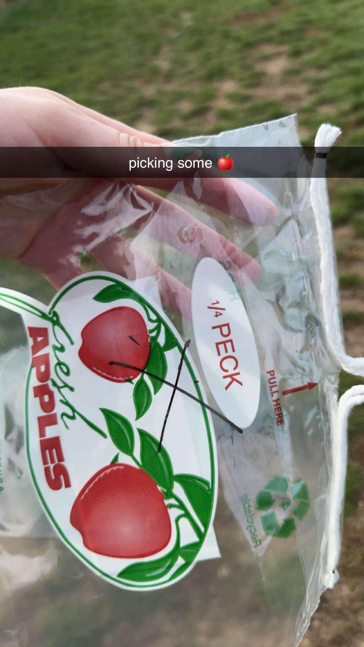 ameliabfit snapchat image archive image