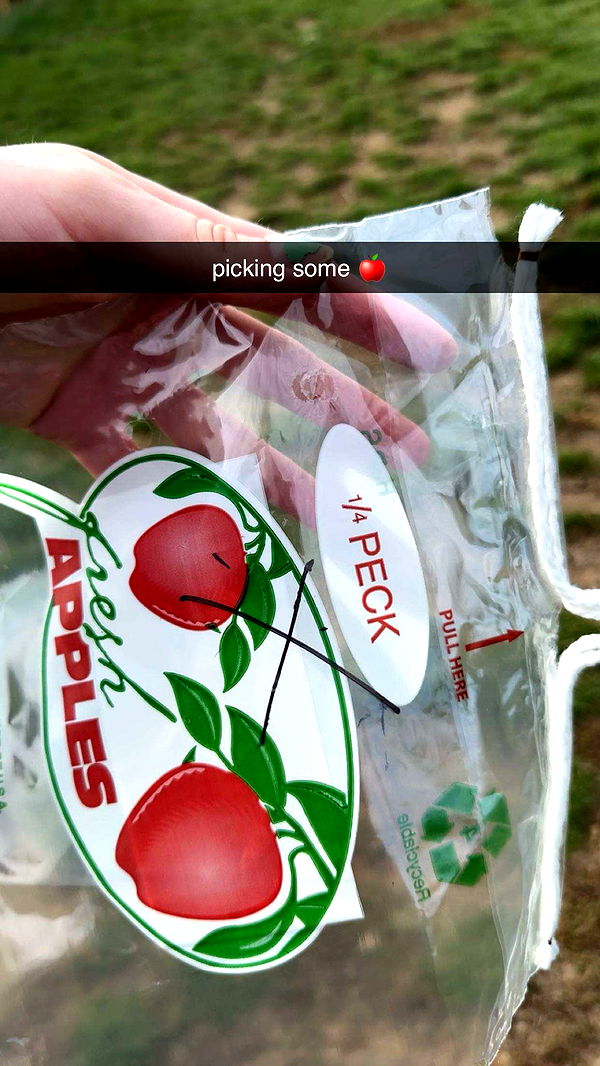 ameliabfit image ~ Altpins