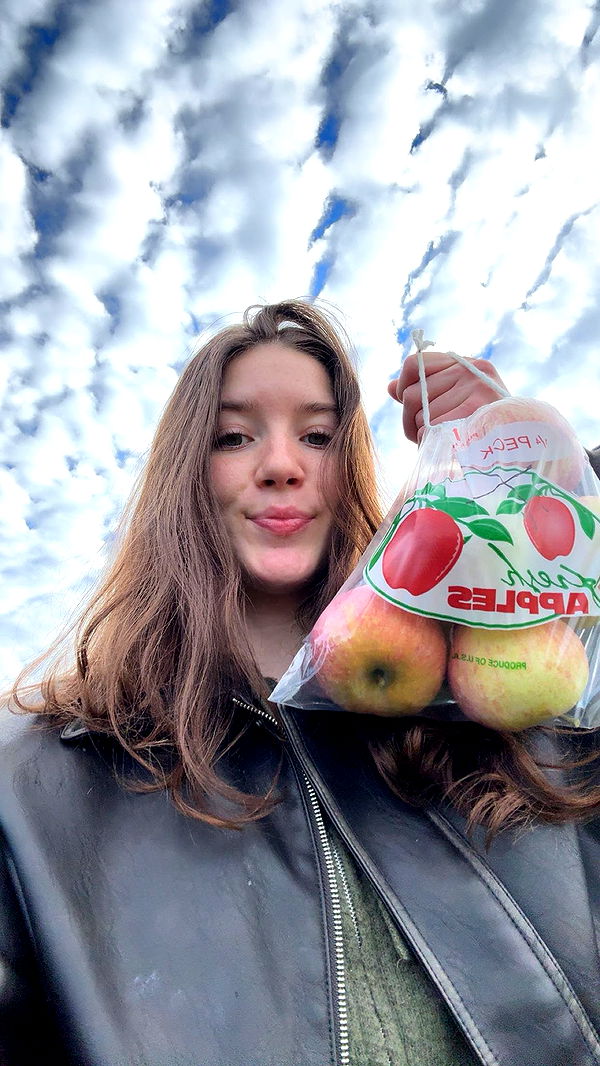 ameliabfit image ~ Altpins