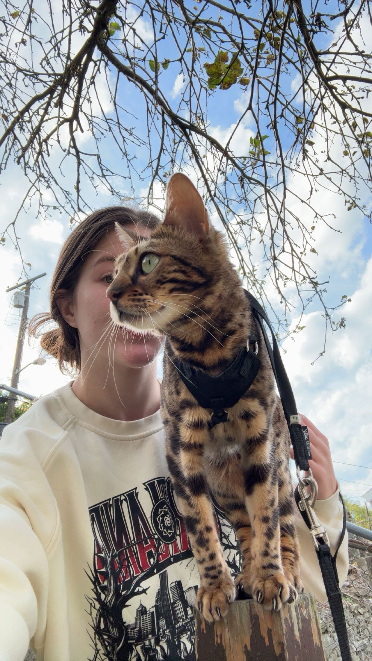 ameliabfit snapchat image archive image