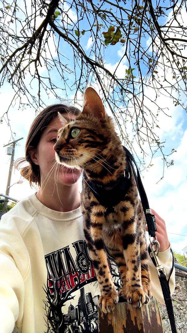 ameliabfit image ~ Altpins