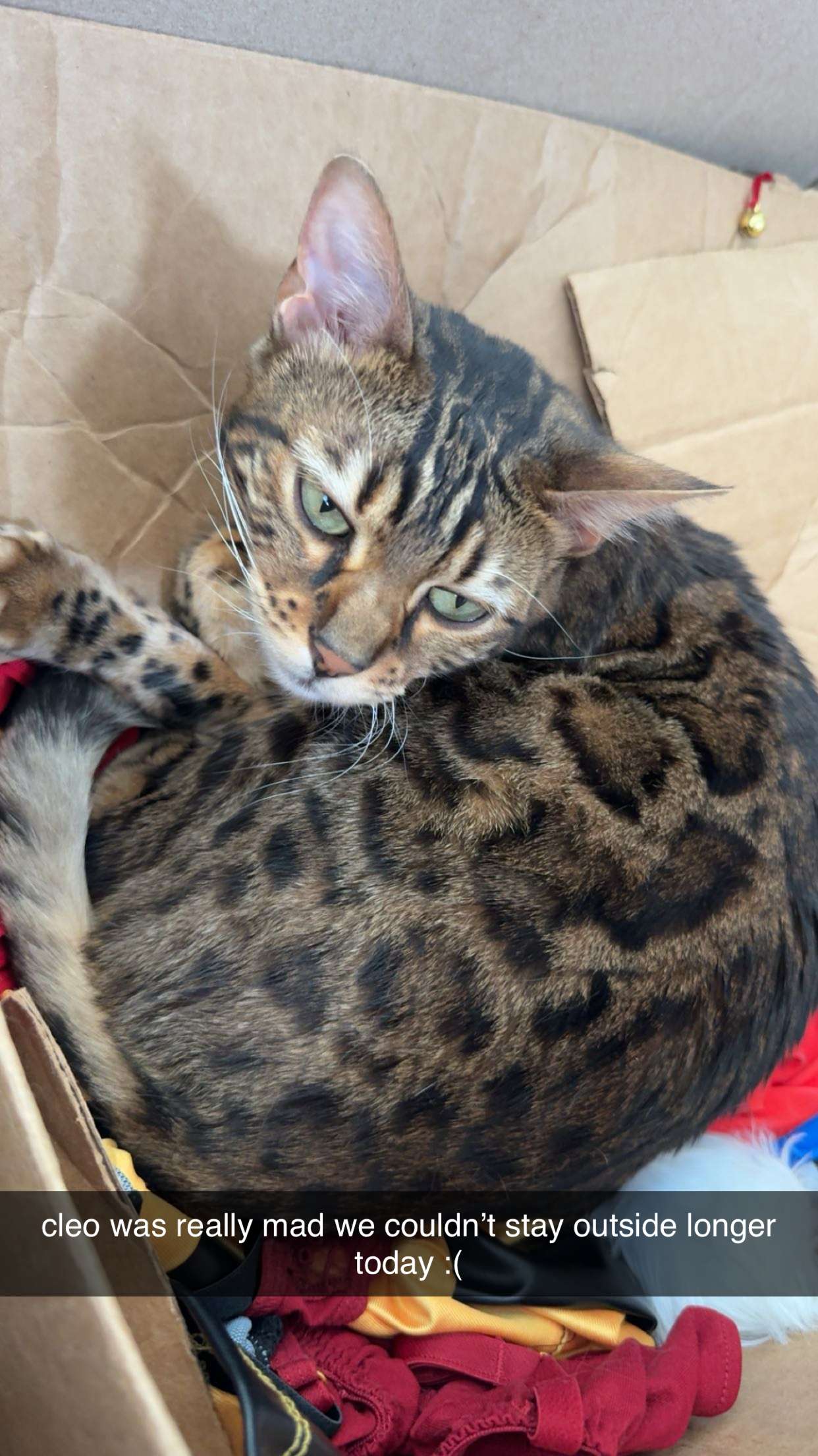 ameliabfit snapchat image archive image