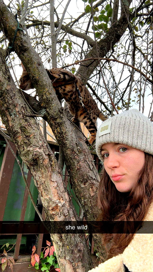 ameliabfit image ~ Altpins