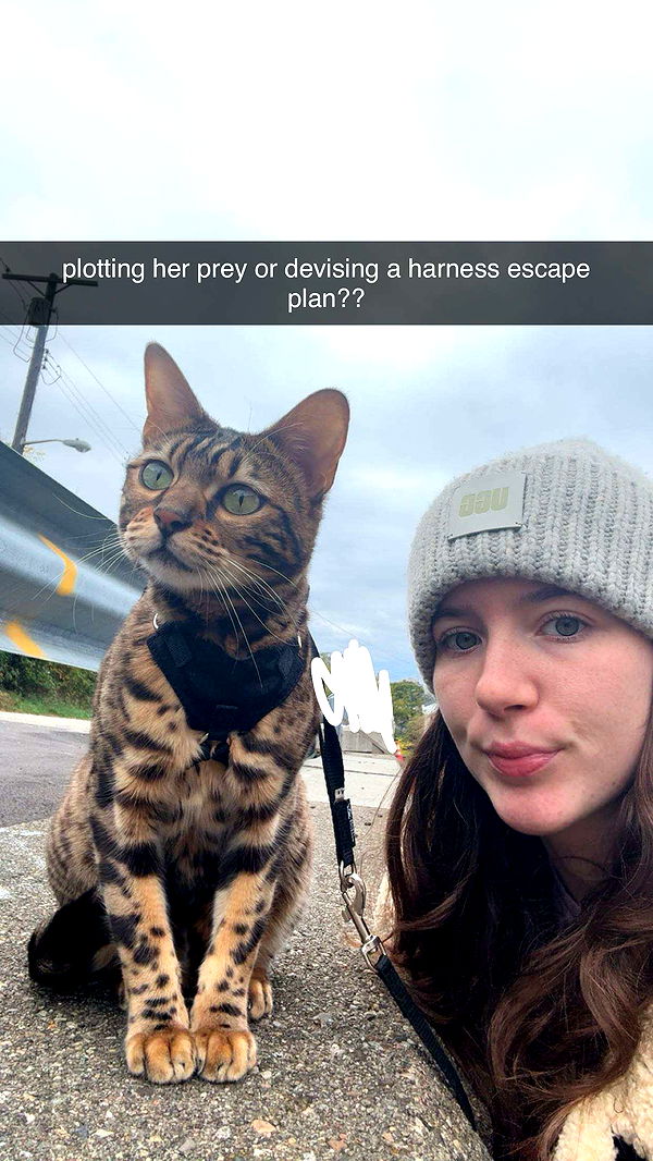 ameliabfit image ~ Altpins