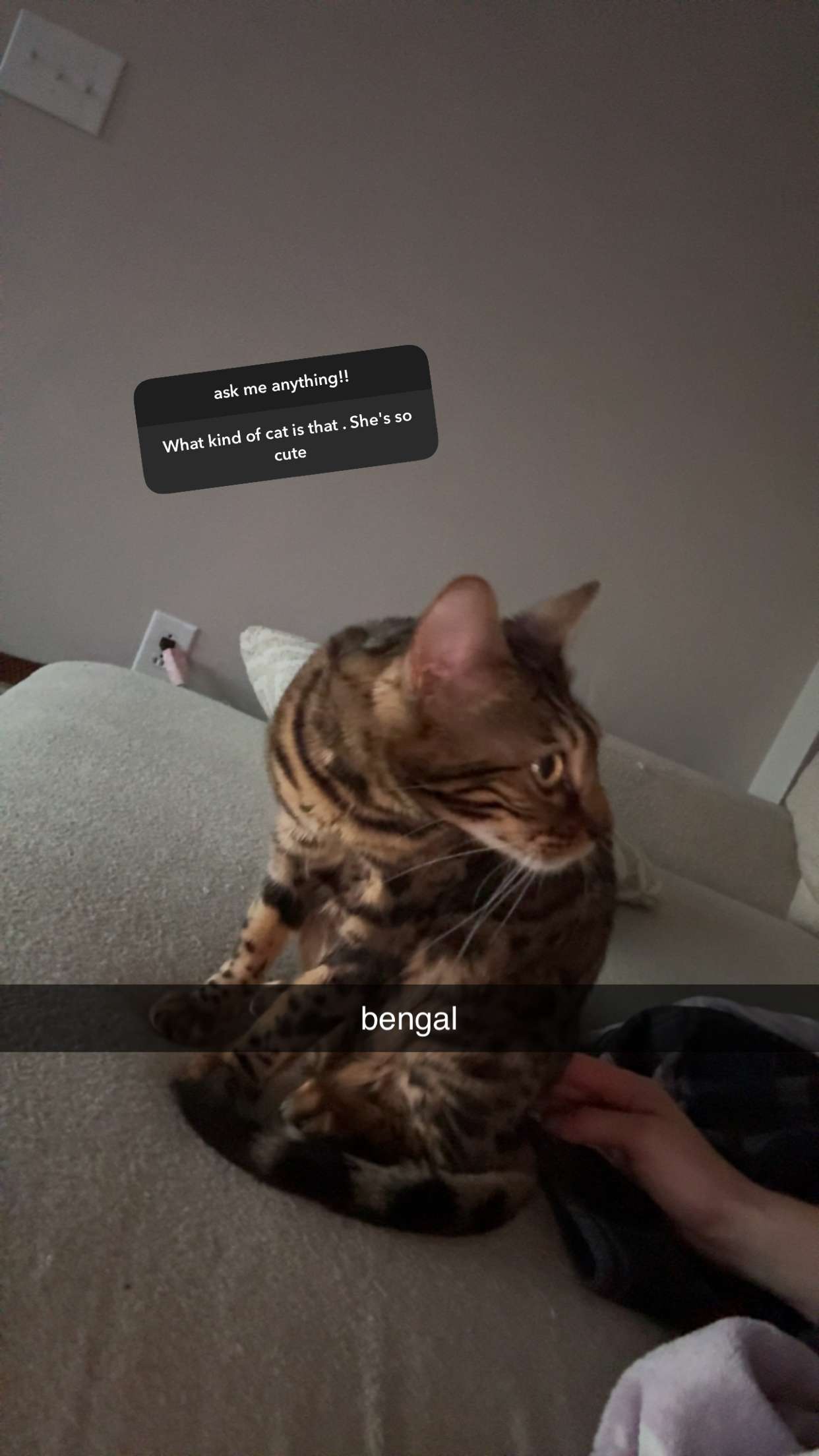 ameliabfit snapchat image archive image