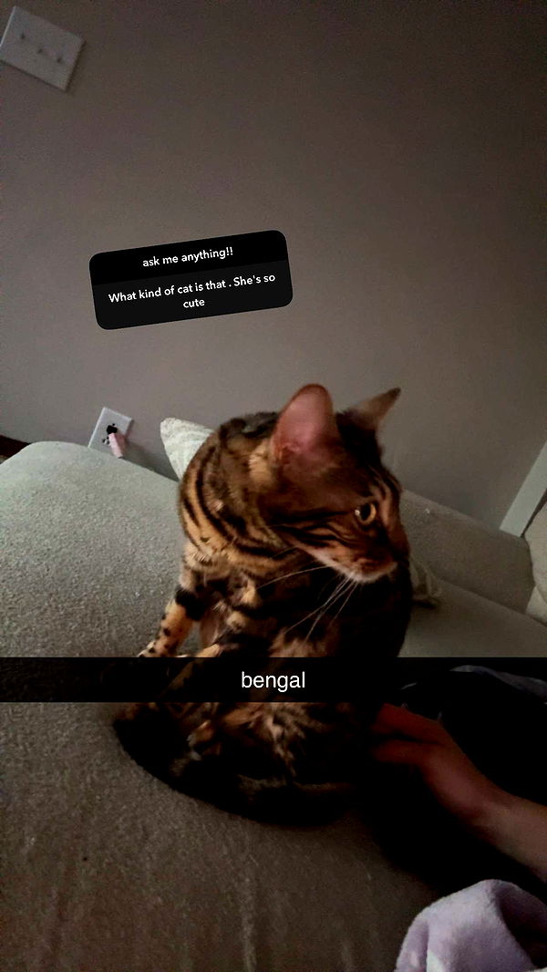 ameliabfit image ~ Altpins